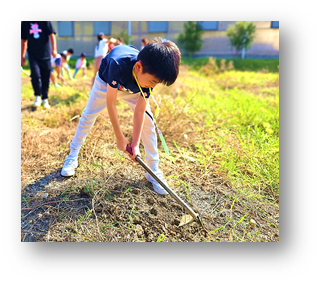 通过语文学习,培育美德,成为良好的国民及世界公民 图片